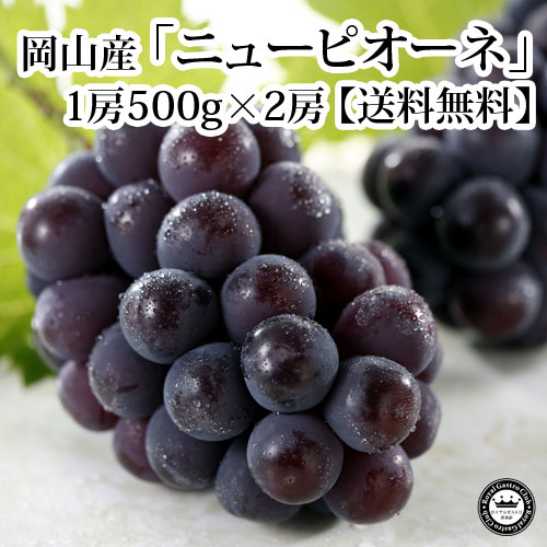 ニューピオーネ（約500g×2房）