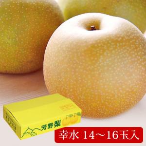 幸水(赤梨/5kg)