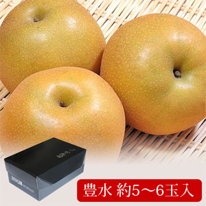 豊水(赤梨/2.3kg)
