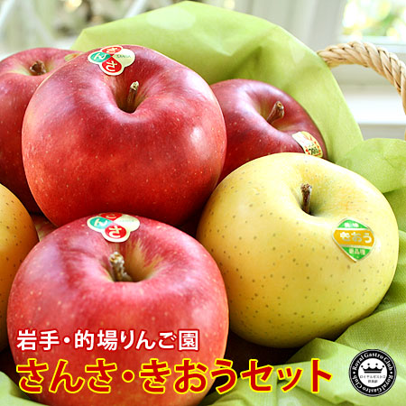 1%未満の希少りんご　さんさ・きおうセット　約2kg/5～6玉入　岩手県的場りんご園　送料無料