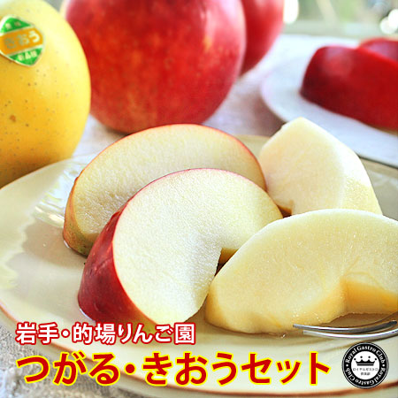 1%未満の希少りんご　つがる・きおうセット　約2kg/5～6玉入　岩手県的場りんご園　送料無料