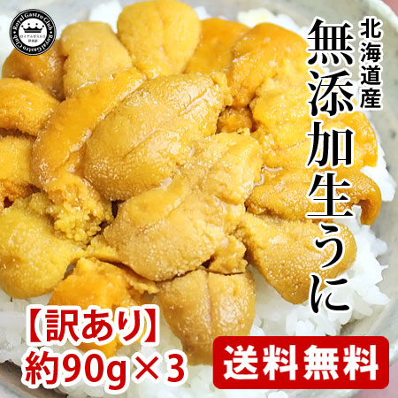 【無添加生うに】利尻・礼文島の北海道 生むらさきうに(訳あり品)約90g×3パック【北海道産】【送料無料】