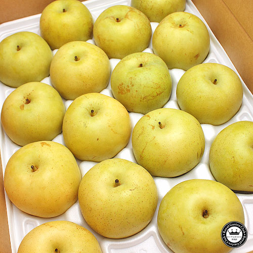 真寿梨(青梨/5kg)
