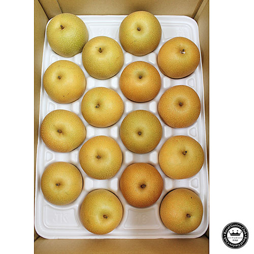 【販売終了】秋栄梨(赤梨/5kg)