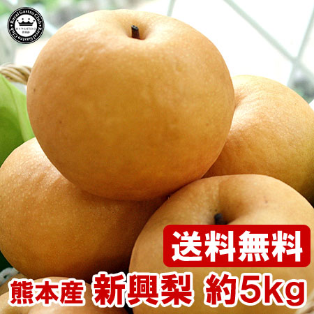 新興(赤梨/5kg)