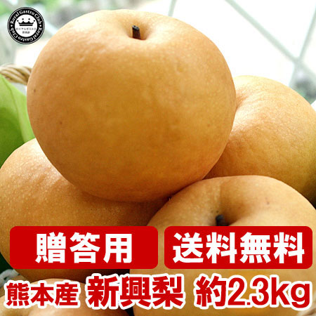 【熊本県産・贈答用】熊本ブランド芳野梨 新興(約2.5kg/6～7玉)