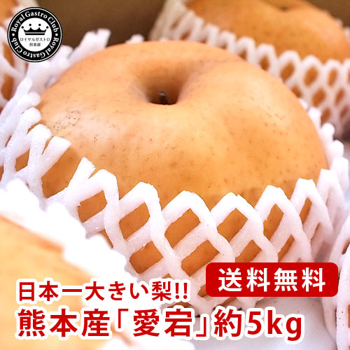 愛宕（赤梨/5kg）