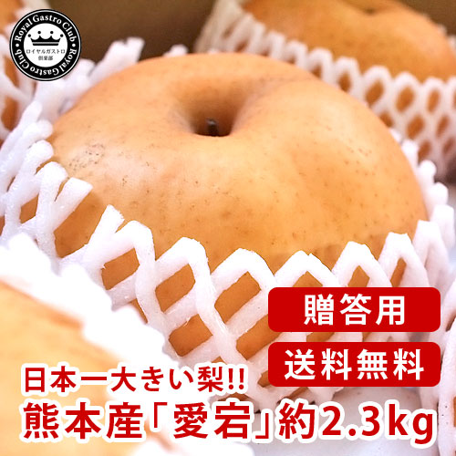 【熊本県産・贈答用】熊本ブランド芳野梨 愛宕(約2.5kg/3～4玉)