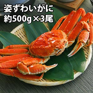 姿ズワイガニ（1尾約500g×3セット）