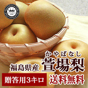 贈答用 萱場梨(赤梨/3kg)