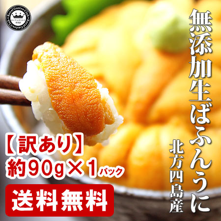 【訳あり】北方四島産の生ばふんうに（約90g/塩水パック）