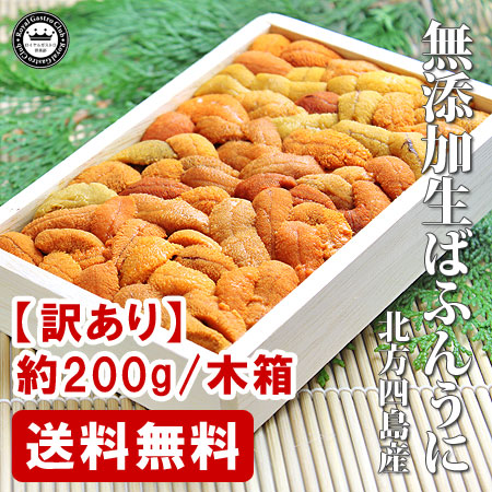 【訳あり】北方四島産の生ばふんうに(約200g/木箱入)