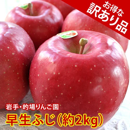 【訳あり品】的場りんご園の早生ふじ（約2kg/5～6玉入）