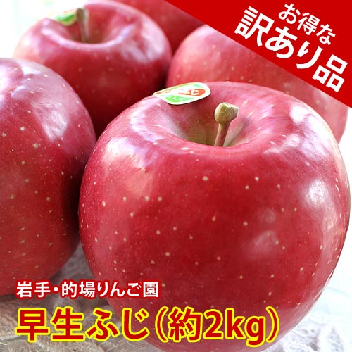 【岩手県産・訳あり品】的場りんご園の早生ふじ(約2kg/5～6個)