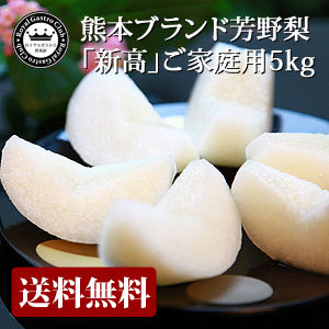 新高(赤梨/5kg)