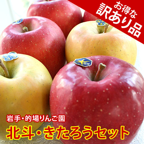 【訳あり品】的場りんご園の北斗・きたろう（約2kg/6個入）