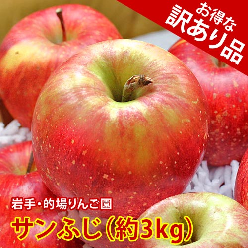 【岩手県産・訳あり品】的場りんご園のサンふじ(約3kg)