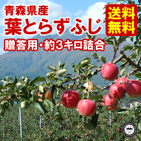 【贈答用】青森産りんご 葉取らずふじ（約3kg/8～10玉）