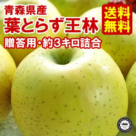 【贈答用】青森産りんご 葉取らず王林（約3kg/8～10玉）