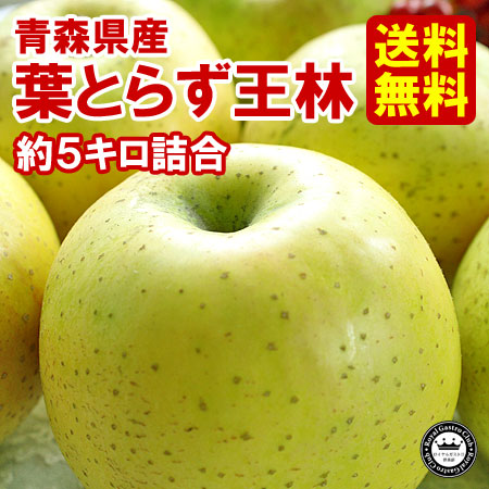 【ご家庭用】青森産りんご 葉取らず王林（約5kg/14～20玉）