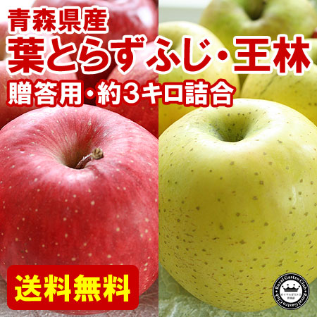 【贈答用】青森産りんご 葉取らずふじ・王林（約5kg/14～18玉）