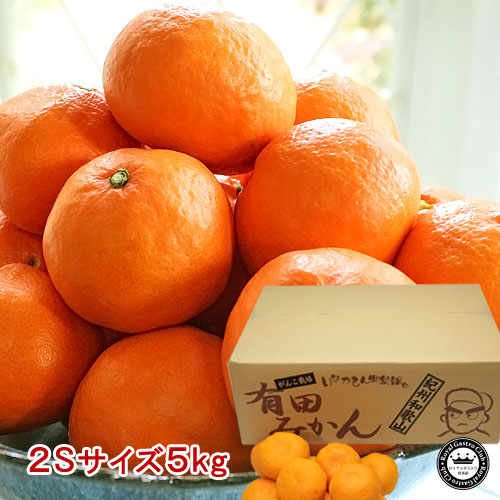 【販売終了】和歌山県有田市産 がんこ栽培 有田みかん（秀品2S寸/約5kg）