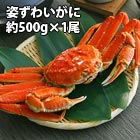 姿ズワイガニ(ずわい蟹) 約500g