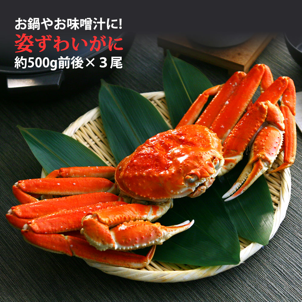 姿 ズワイガニ ( ずわい 蟹 ) 約500g 送料無料 | 日本ロイヤルガストロ倶楽部