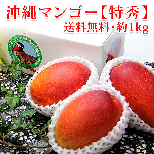 沖縄産 マンゴー 約1kg 詰合せ