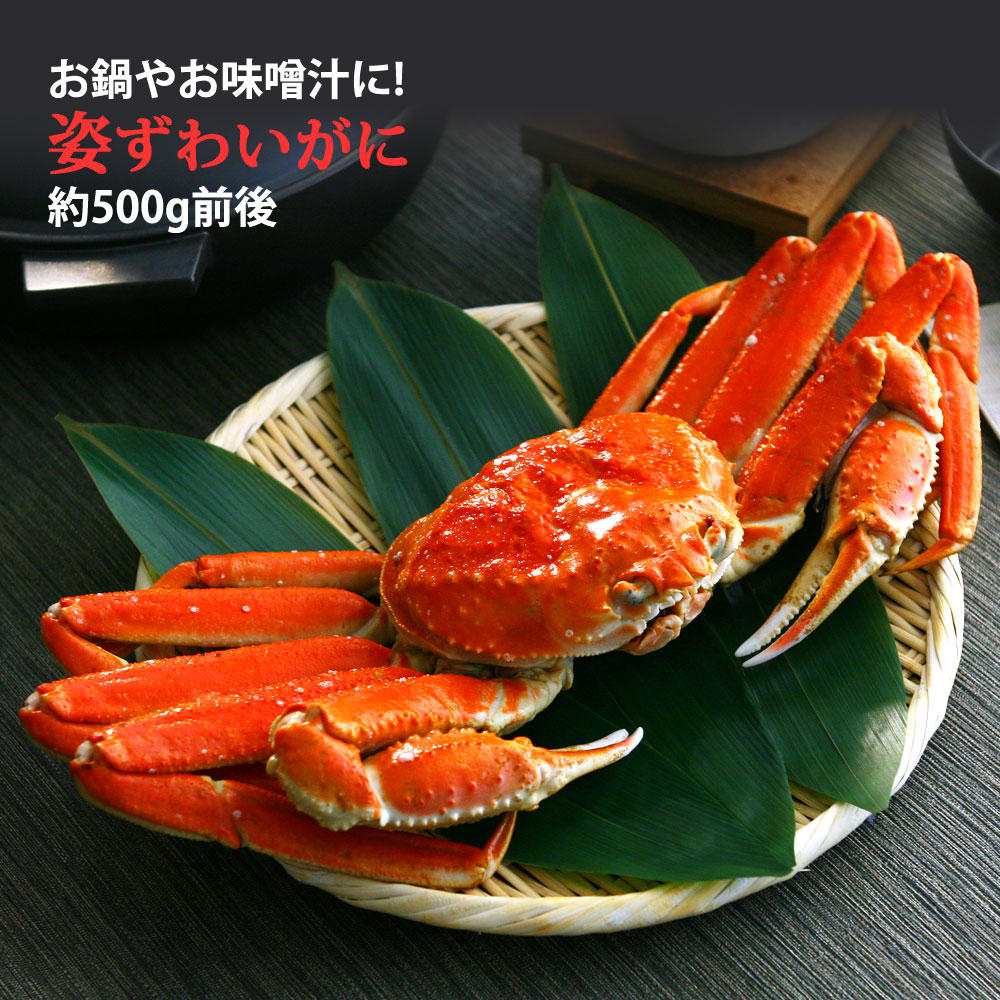 姿 ズワイガニ ( ずわい 蟹 ) 約500g 送料無料 | 日本ロイヤルガストロ倶楽部