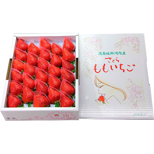 さくらももいちご(苺) 24～28粒入り(1箱870g以上) 徳島県佐那河内村産 化粧箱入り