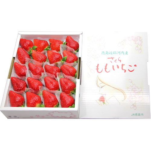 さくらももいちご(苺) 大粒 16～20粒入り(1箱850g以上) 徳島県佐那河内村産 化粧箱入り
