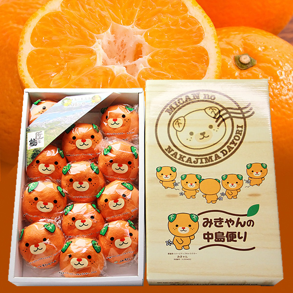 みきゃんの中島便り 愛媛県産 みかん 蜜柑 約1 2kg 9 15玉前後 送料無料 日本ロイヤルガストロ倶楽部 みきゃんの中島便り 愛媛県産 みかん 蜜柑 約1 2kg 9 15玉前後 送料無料 日本ロイヤルガストロ倶楽部