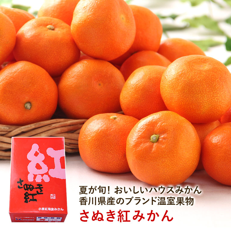 ハウス みかん さぬき紅みかん 香川県産 温室みかん 化粧箱入り | 日本ロイヤルガストロ倶楽部