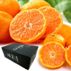 晩白柚 ばんぺいゆ 熊本県産 みかん L寸 化粧箱入り  日本ロイヤル 