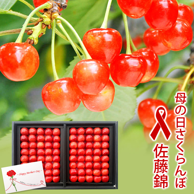 母の日 さくらんぼ 佐藤錦 さとうにしき 約300g 600g 特秀l以上 化粧箱詰め 山形県産 ハウス栽培 母の日メッセージカード付き 日本ロイヤルガストロ倶楽部 母の日 さくらんぼ 佐藤錦 さとうにしき 約300g 600g 特秀l以上 化粧箱詰め 山形県産 ハウス栽培 母の日メッセージカード付き 日本ロイヤルガストロ倶楽部