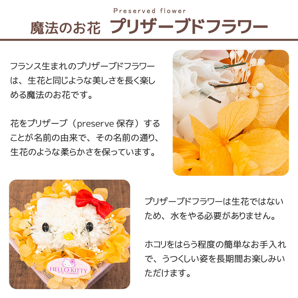 ハローキティ プリザーブド フラワー 陶器ポット B | 日本